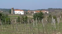 V gibanju Skupaj opozarjajo, da koprska občina v proračunu 
že 15 let pozablja na potrebe krajevnih skupnosti v zaledju. 