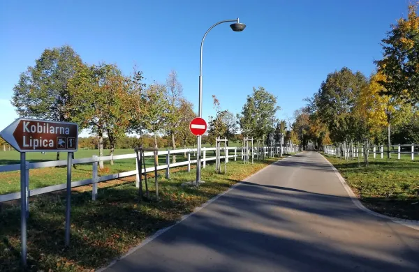 Kljub državnemu denarju cesta za Lipico staja enosmerna
