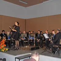 Kadar je &ldquo;pleh&rdquo; žlahten