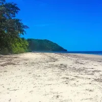 Cape Tribulation