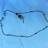 Policisti i&scaron;čejo lastnike ukradenega nakita