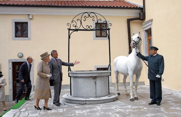 22. oktobra 2008 so njegove fotografije obkrožile svet, saj je 
navdušil britansko kraljico Elizabeto II ob njenem obisku 
Kobilarne Lipica. 