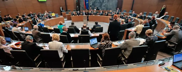  “V našo materinščino se je prikradlo toliko popačenih izrazov, da je že polna vreča. Ko poslušam poslance v parlamentu, kar ne 
morem verjeti, kako morejo reči, da 'zadevi zdej še ne moramo pridet do dna', če je pa prav samo: zdaj ne moremo priti do dna ... 
Ojoj, prejoj! Razprave s takimi slovničnimi napakami in spakedrankami naj bi bile zgled Slovencem?” je zapisala Ruža Pečarič.