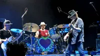 Neil Young zadnja leta nastopa in snema z mladim bendom 
Promise of the Real.  