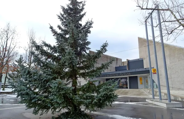 Enajstmetrsko smreko, ki so jo postavili pred Krpanovim 
domom, je občini podarila družina Rebec iz Radohove vasi.
