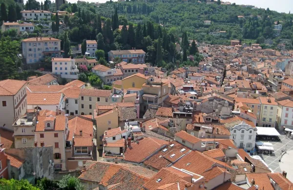 Oddajate na črno? Furs vas opazuje!