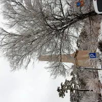Z obeliska na robu Opčin je do morja le nekaj lučajev, a tudi 
tu je bilo snega danes kar nekaj centimetrov.