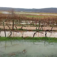 Poplavljalo hi&scaron;e, sprožili so se plazovi (foto+video)