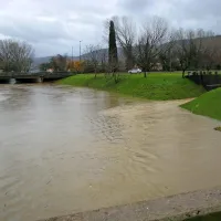 Badaševica v Kopru v Semedeli 