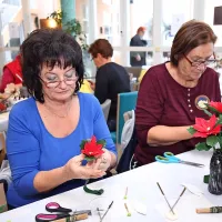 Ustvarjalni upokojenci v Delfinu (foto)