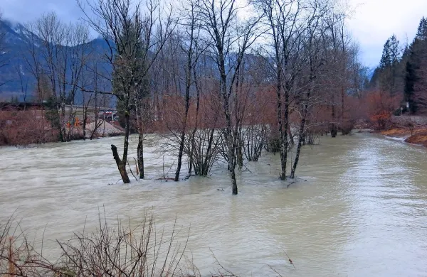 Sava Bohinjka