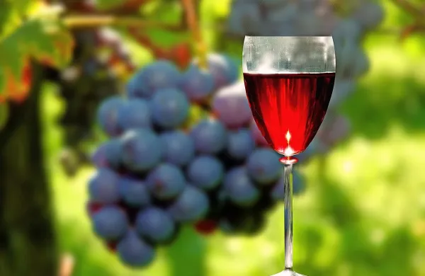 Povprečni Slovenec je popil 39 litrov vina
