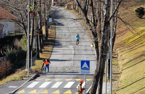 Po drevoredu,  v katerem te dni obsekavajo drevje, se proti 
dva kilometra oddaljenim Doljam po ozki in nevarni cesti 
sprehaja veliko ljudi.
