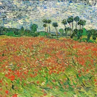 V van Goghovo umetnost, tudi na Makova polja (na fotografiji)  
je mogoče pokukati v Vicenzi. 