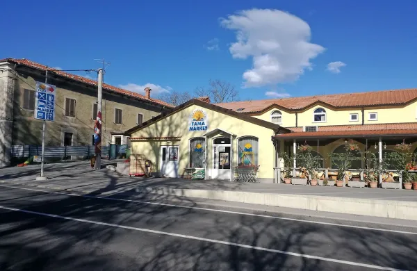 Konec lanskega leta je Fama Vipava zaposlovala 209 delavcev, na območju Primorske pa je imela 21 lastnih in šest 
franšiznih trgovin in supermarketov. 