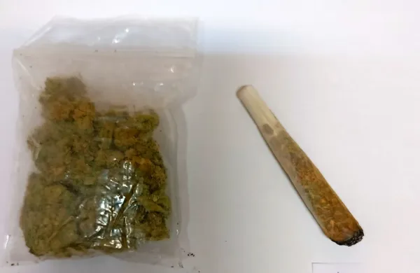 V pepelniku zadnjih desnih vrat vozila je Romun skrival zvito 
cigareto in PVC zavojček z osmimi grami konoplje.