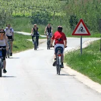 Razvoj kolesarske infrastrukture
