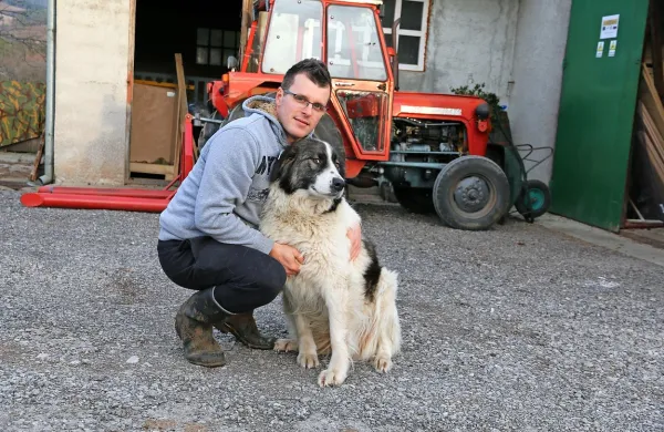 Aleš Sedmak je vzreditelj tornjakov, zanesljivih varuhov 
čred.  