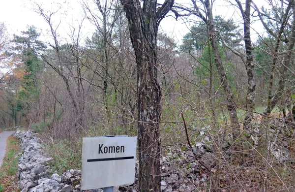 Gozdovi nekdanjih agrarnih skupnosti v katastrski občini Volčji Grad so prvi, s katerimi se je 
občina odločila  upravljati. Izvajalca za posek dreves so izbrali na razpisu.