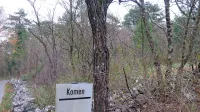Gozdovi nekdanjih agrarnih skupnosti v katastrski občini Volčji Grad so prvi, s katerimi se je 
občina odločila  upravljati. Izvajalca za posek dreves so izbrali na razpisu.
