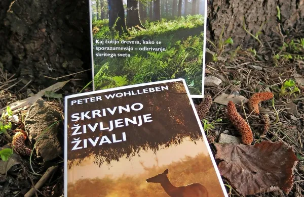 Vsa narava čuti, misli, sanja ...