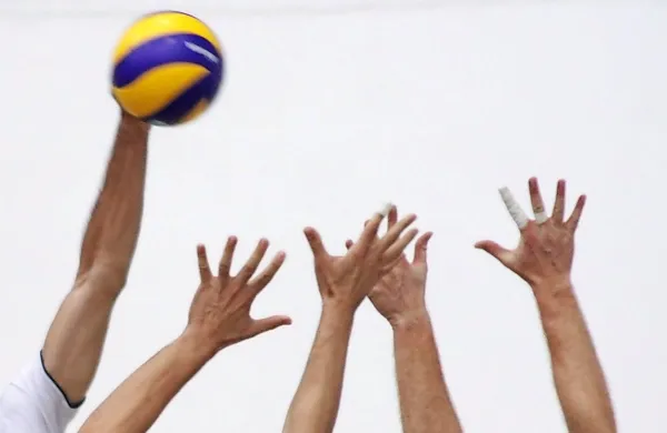 GEN-I Volley - Črnuče 3:0 (22, 18, 28)