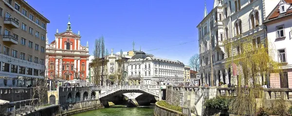 “Dvojino moramo ohranjati kot sleherno kulturno 
ali jezikovno staro znamenitost. Zakaj? Pomislimo 
samo, kakšna bi bila Ljubljana brez gradu in 
starih ulic na obeh straneh Ljubljanice pod njim. 
Knjižna slovenščina pa brez častitljive dvojine!”