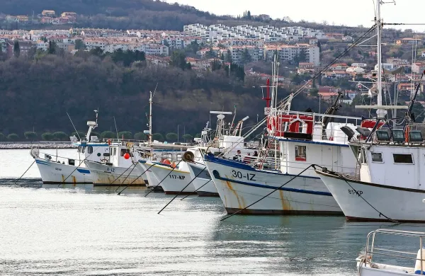 Pritožbe ribičev na sodi&scaron;ču