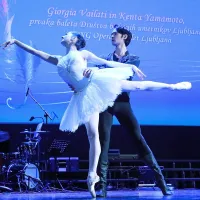 Tartinijeva nagrada slikarki Fulviji Zudič