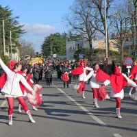 &ldquo;Živijo pust&rdquo; na Opčinah