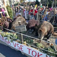 Več kot 800 mask na 10. istrski pustni povorki v Kopru
