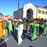 Več kot 800 mask na 10. istrski pustni povorki v Kopru