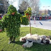 Več kot 800 mask na 10. istrski pustni povorki v Kopru