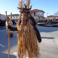 Več kot tisoč mask na pustni povorki v Ilirski Bistrici