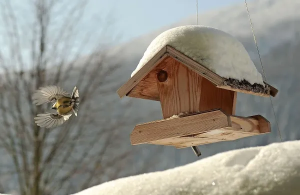 Jutri najverjetneje najbolj mrzlo jutro leto&scaron;nje zime, v četrtek sneg