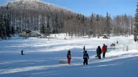 Jasa s sankališčem  bi ostala  središče Sviščakov, planinski dom  bi 
obnovili, desno od njega pa zgradili hotel, depandanso in bungalove.  