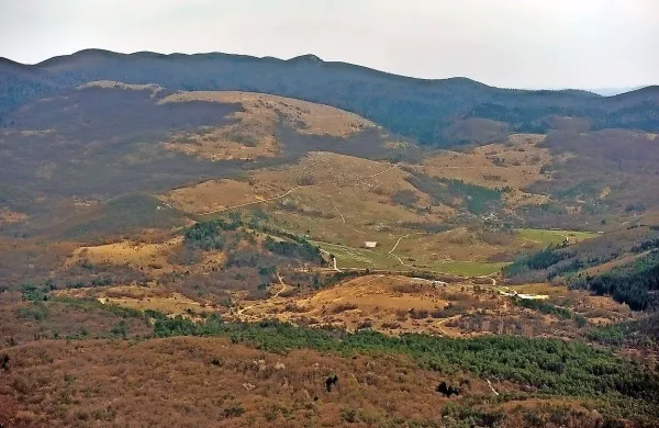 Poček