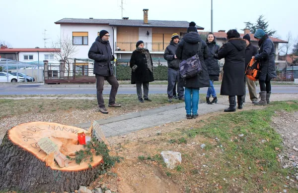 Protestirali so zaradi padlih ceder