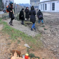 Protestirali so zaradi padlih ceder