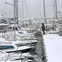 Primorska v belem