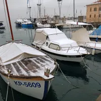 Primorska v belem