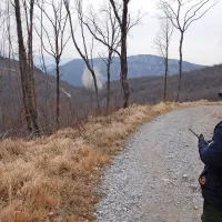  Zaradi razpršenosti lokacij, kjer so bile najdbe odkrite, so uničenje 
izvedli na štirih različnih lokacijah  območja med Preškim vrhom, 
Vodicami in Sveto goro. 