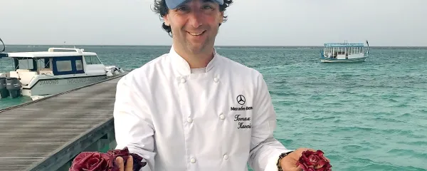Gori&scaron;ki radič na Maldivih