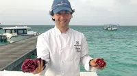 Gori&scaron;ki radič na Maldivih
