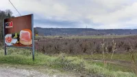 Bodoča obrtno-podjetniška cona je predvidena  na območju  
sedanje klavnice in vzolž regionalne ceste v Dragonji, pred 
križiščem proti Sečovljam.