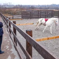 Delo s konji v rezervatu