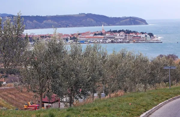  Ponoči se bo povsod pooblačilo, zjutraj bodo ponekod na 
Primorskem in Notranjskem že rahle padavine. Na Primorskem 
bo pihala šibka burja.