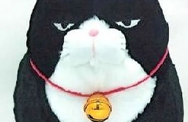 Odpoklic pli&scaron;aste igrače Soft Toy Cat