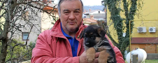 Prikupna psička Nika je bila ob fotografiranju stara šest tednov.