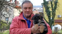Prikupna psička Nika je bila ob fotografiranju stara šest tednov.